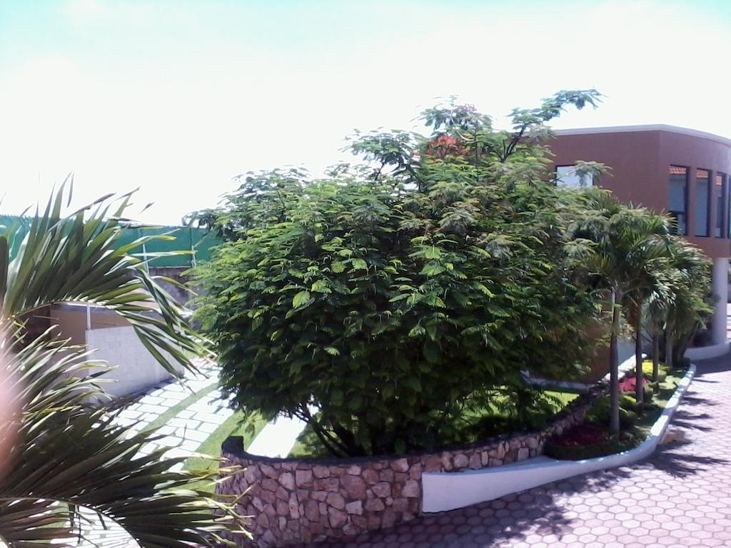 Hotel - Motel Pasion Yecapixtla Exterior photo